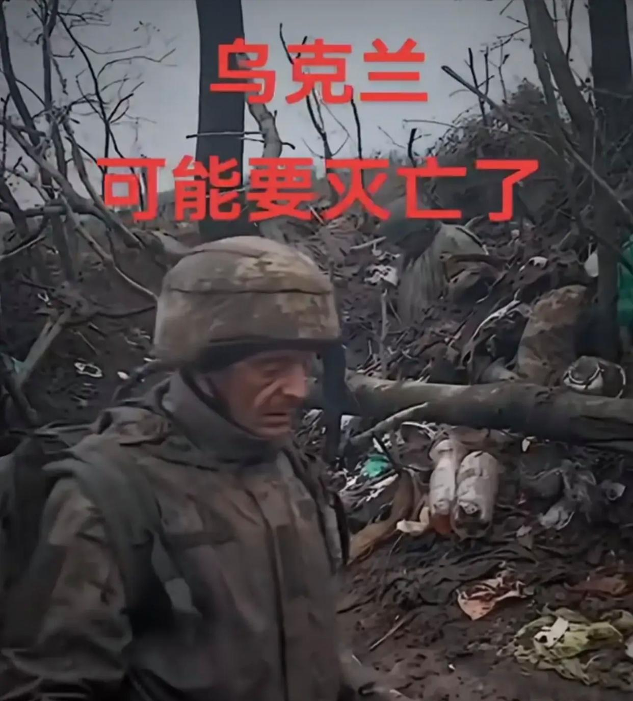 开云体育新闻-乌克兰队在比赛中惜败，止步四分之一决赛